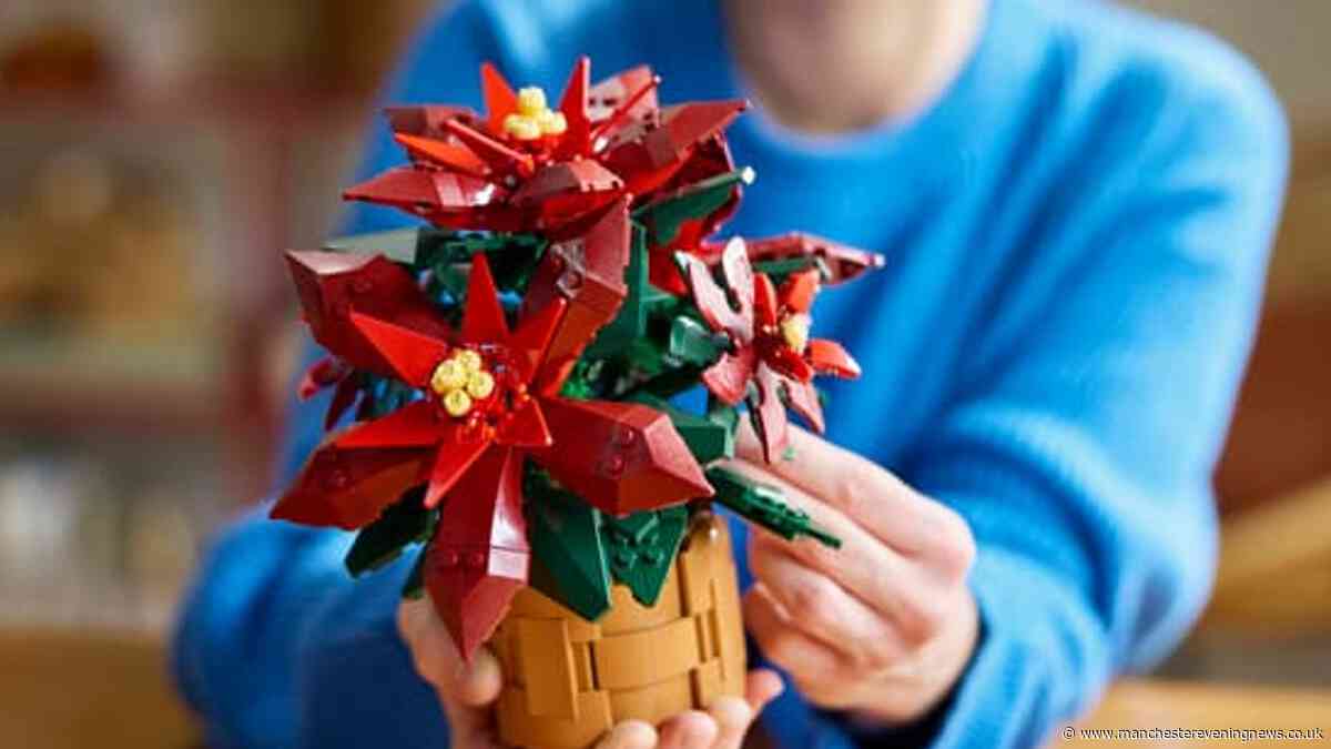 Lego shoppers race to buy 'gorgeous' £45 Christmas Poinsettia set for £26 online