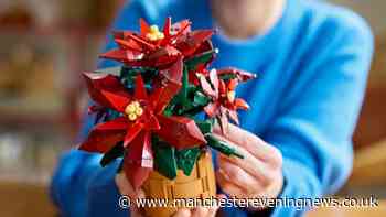 Lego shoppers race to buy 'gorgeous' £45 Christmas Poinsettia set for £26 online