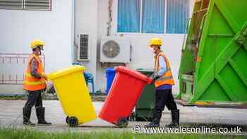 Binman warns your recycling won't be collected if you try 'sneaky' trick
