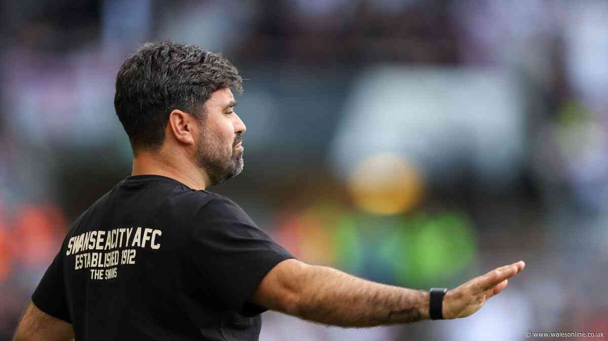 Six transfers Swansea City that can still happen as club in middle of 'storm'