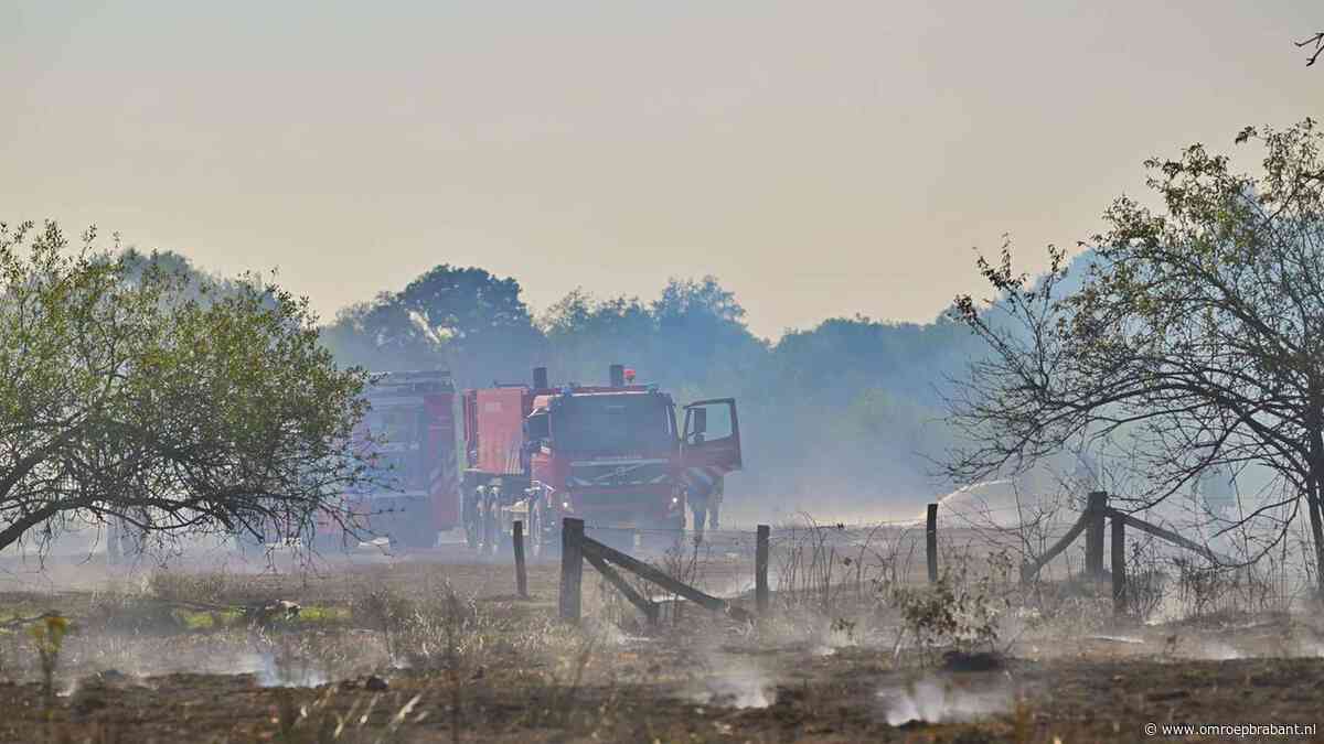 Grote natuurbrand langs A2 bij Waalre, brandweer schaalt op
