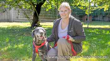 Will diese Hunde aus  dem Augsburger Tierheim wirklich niemand haben?