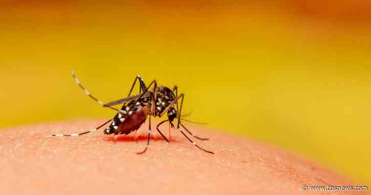 New mosquito trap tests positive for West Nile virus in DeKalb County, health officials say