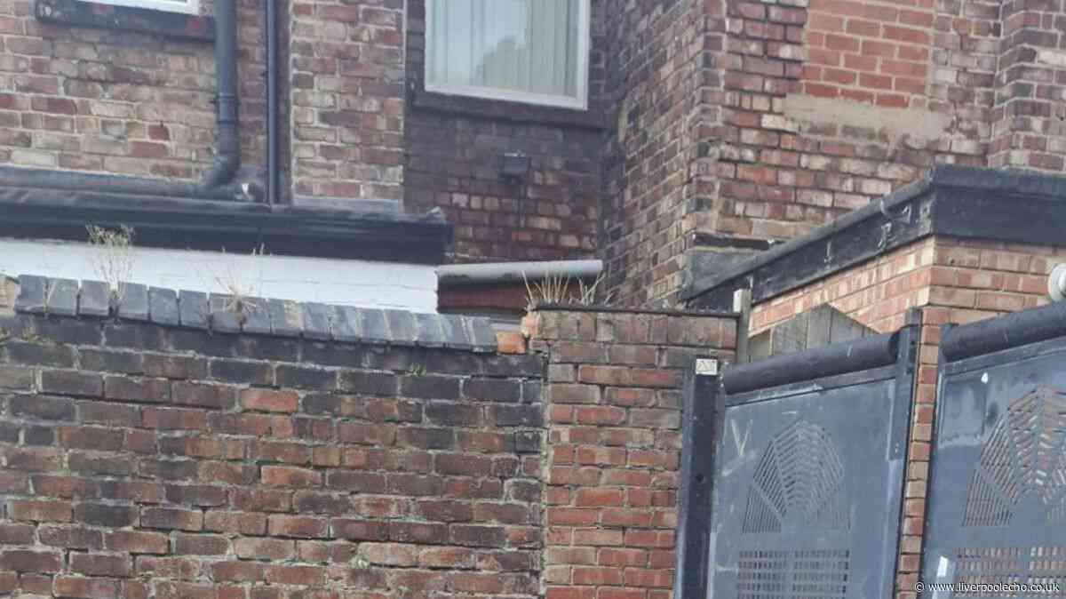 More than 160 tyres found dumped in Anfield as concerns emerge over fire risk