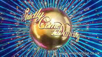 Former BBC Strictly host's very different career move with Stranger Things star