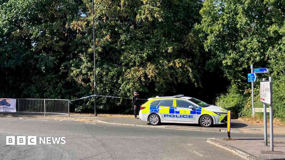 Police investigate rape of girl, 14, in wooded area