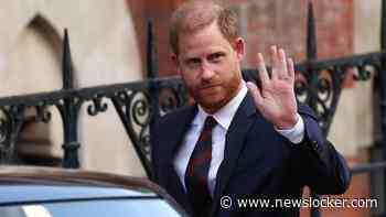 Prins Harry vertrekt als bestuurslid bij African Parks
