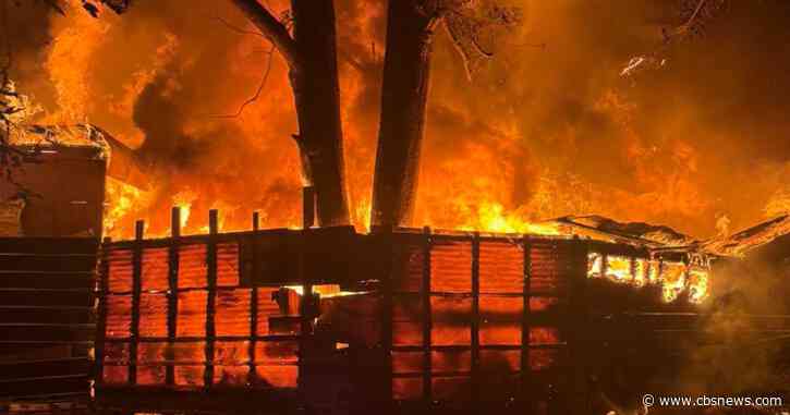Dog killed in Cherokee County house fire; investigators make arson arrest