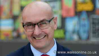 Welsh rugby's 'shadow government' is coming for the WRU but governing will be a different game