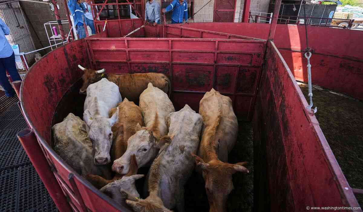 Economists don't expect reopening the U.S. to Mexican cattle imports to reduce high beef prices