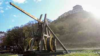 Skeleton with more than 160 fractures is first confirmed victim of horrific siege catapult