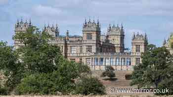 Owner of country house featured in Batman movie risks losing home - due to bats