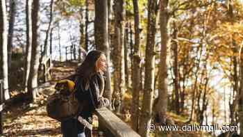 If you go down to the woods today, you're sure of a natural high... daily dose of nature does your mental health a world of good