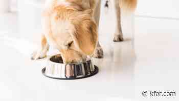 Popular dog food recalled over potential contamination