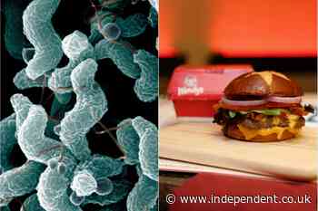 Wendy’s faces lawsuit from woman who was hospitalized after eating ‘bacteria-tainted’ burger