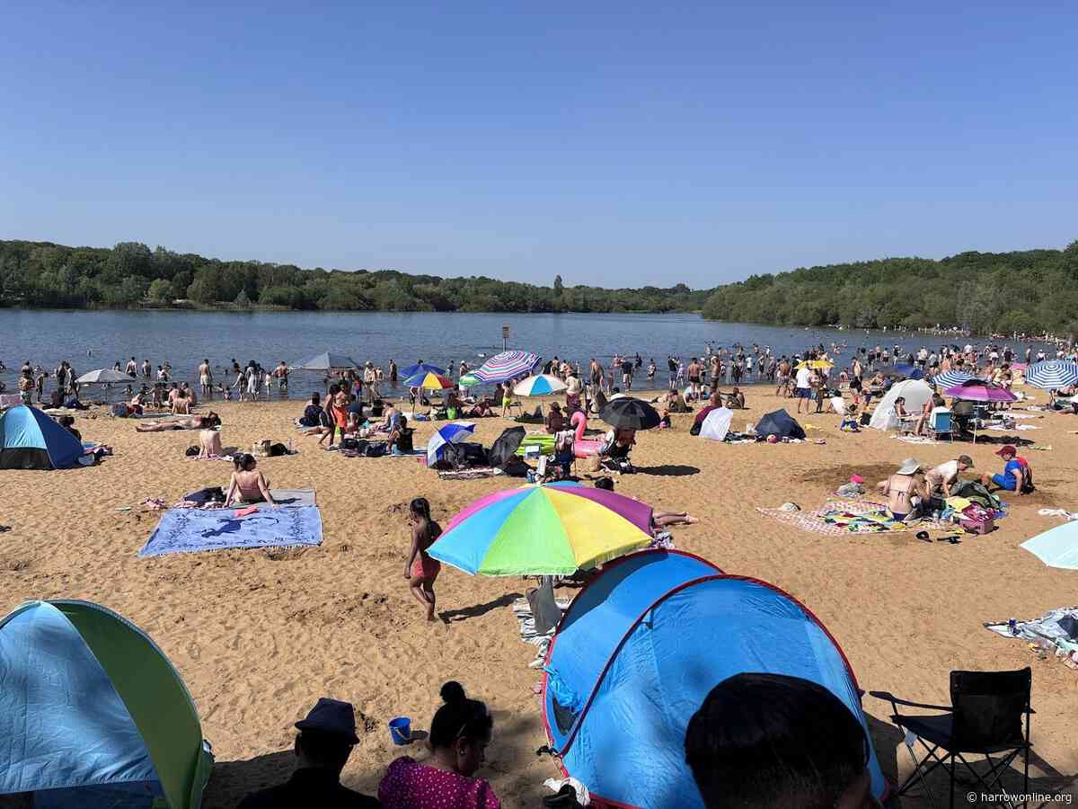 Dead fish wash up on shores of Ruislip Lido