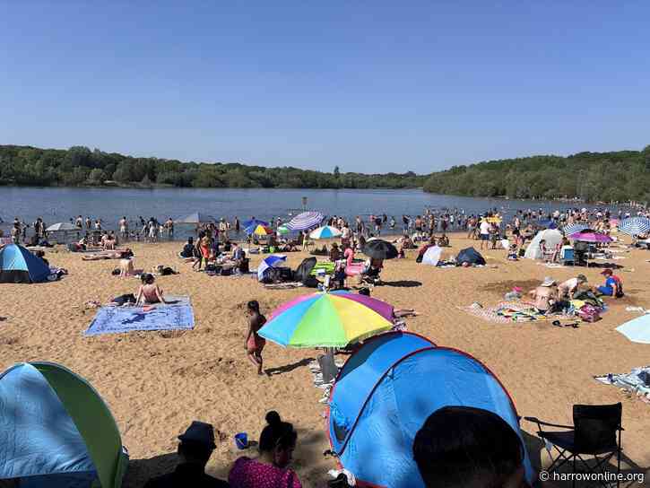 Dead fish wash up on shores of Ruislip Lido