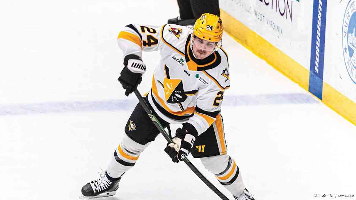 Thompson returns to Nailers