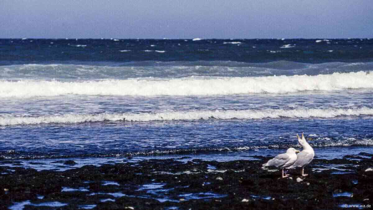 Wie sich die Atlantikströmung in der Eiszeit selbst wieder stärkte – und was das bedeutet