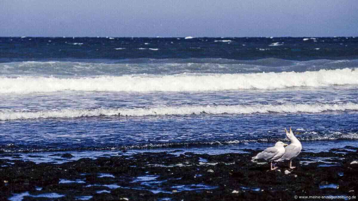Wie sich die Atlantikströmung in der Eiszeit selbst wieder stärkte – und was das bedeutet