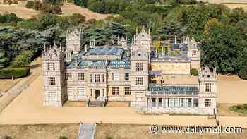 Check if any bats live at Batman's house... or it'll be repossessed! Real-life Wayne Manor could be seized in bizarre row over wildlife surveys