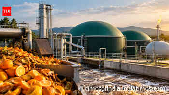 Brazil orange juice plant to turn citrus wastewater into renewable biogas
