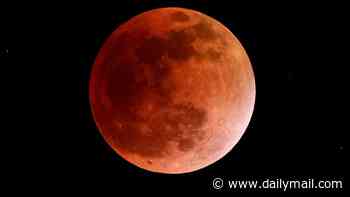 Eerie blood-red moon rising over the US in just DAYS sparks fears of a biblical prophecy