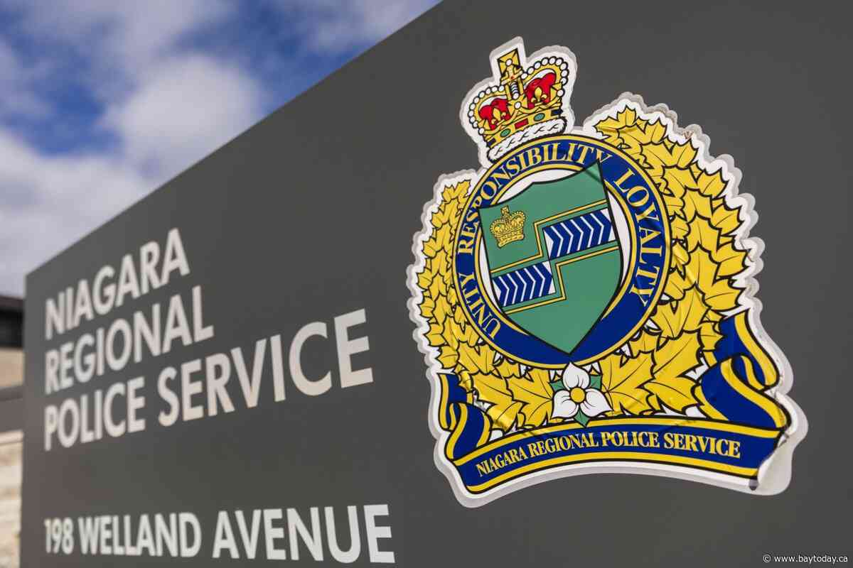 'Disturbing' stabbing of 8 horses on Ontario farm remains unsolved a year later