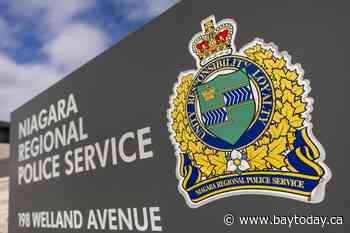 'Disturbing' stabbing of 8 horses on Ontario farm remains unsolved a year later