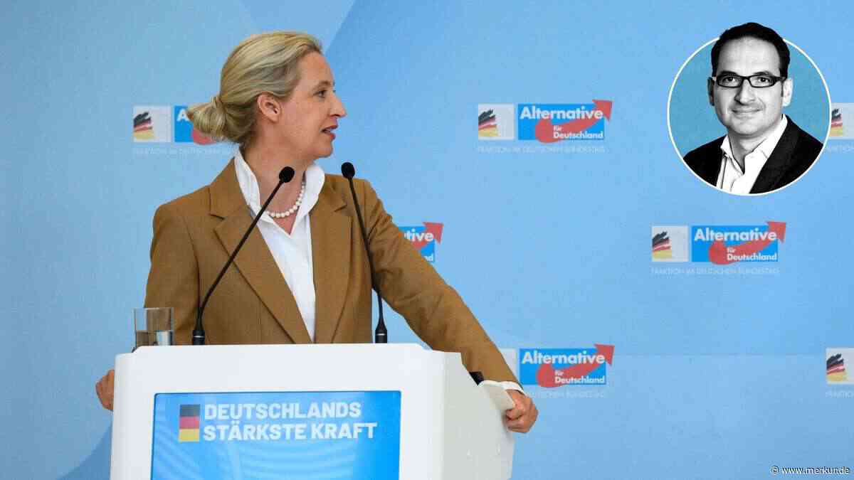 Die D-Mark-Nostalgie der Alice Weidel