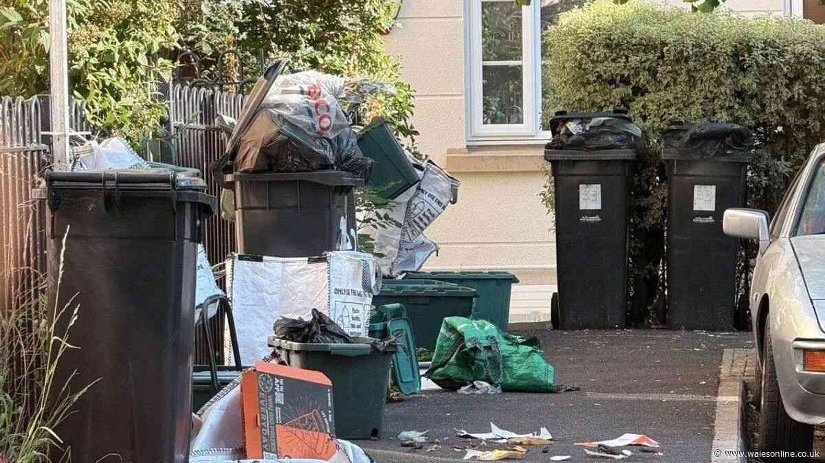 People fear return of stinking mounds of rubbish in Bristol neighbourhood