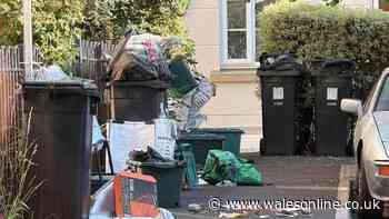 People fear return of stinking mounds of rubbish in Bristol neighbourhood