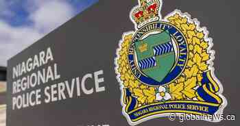 Niagara police renew call for help solving case of 8 horses stabbed last year