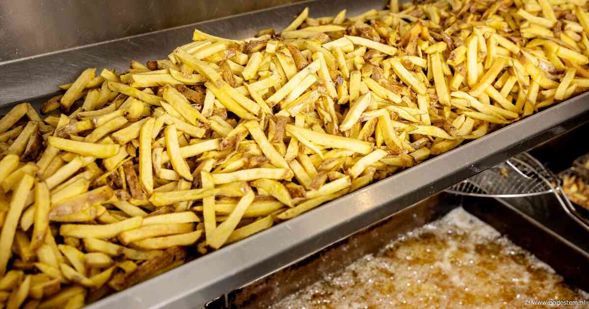 Wordt ons frietje duurder door het extreme weer?: ‘Meeste aardappelen niet groter dan biljartbal’