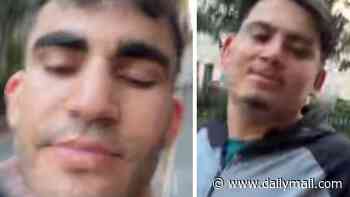 Pictured: Two men officers want to talk to after teenage girl was sexually assaulted at Brighton beach