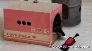 My Cat Doesn’t Care About The Metal Gear Box, Just The Box It Came In