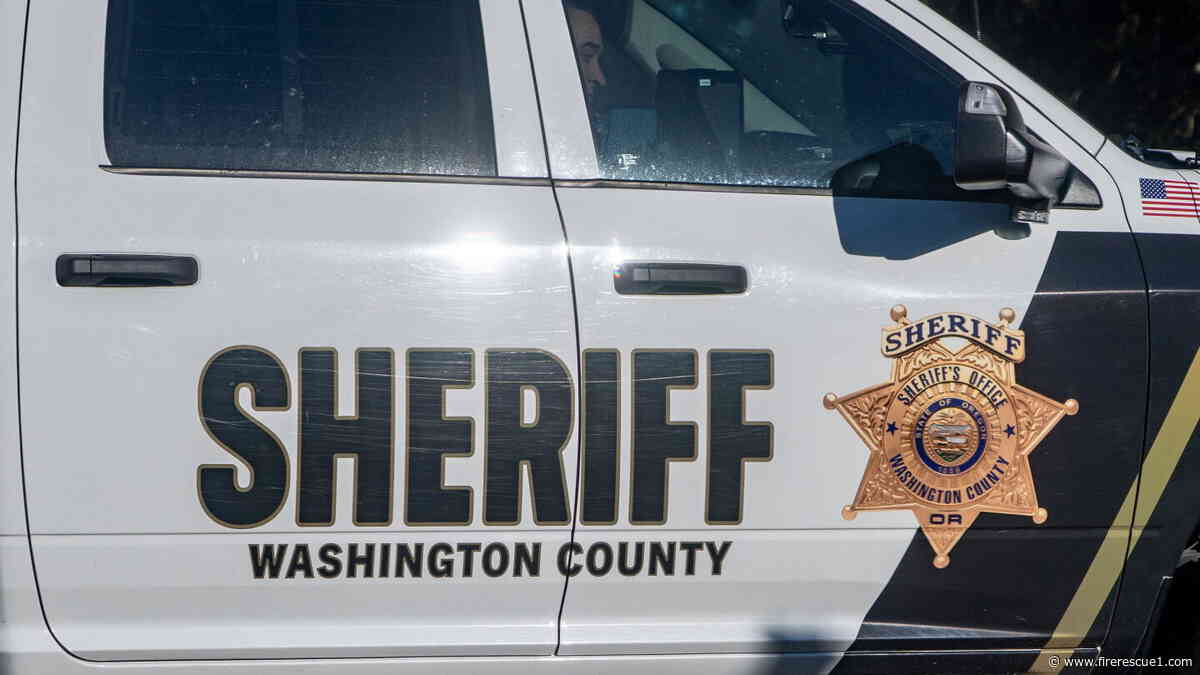 Ore. firefighters discover homicide scene after responding to vehicle fire