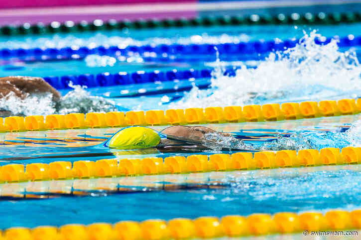 Many Asian Games Athletes Will Be Lodged On Cruise Liner