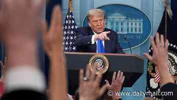 Trump proposes NEW eye-popping fee for H-1B visas for foreign workers amid immigration crackdown
