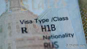 Trump administration lays out new $103K fee proposal for H-1B visas