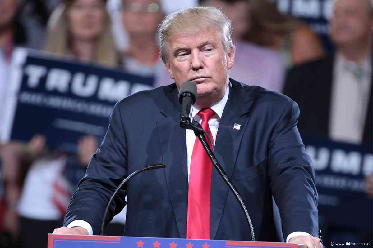 Trump's $100K H-1B Visa Shock Divides Social Media as Some Cheer Jobs for Americans