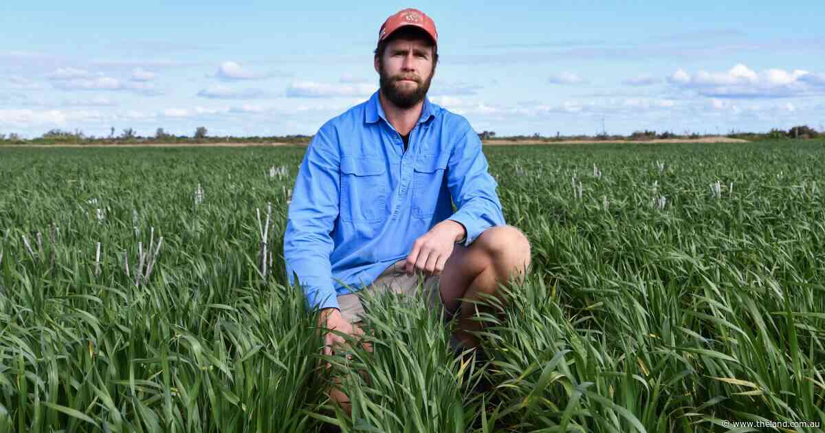 'The entry point is in the clouds': a farmer's fears for other young producers
