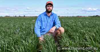 'The entry point is in the clouds': a farmer's fears for other young producers
