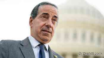 Raskin: 'Trump's idiotic trade war killing American businesses'