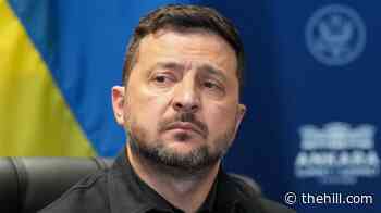 Putin wants to mobilize at least 300,000 more troops to Russia-Ukraine war: Zelensky