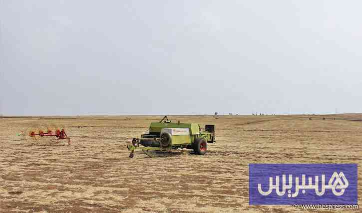 "أزمة العمال" في المغرب تضغط على أنشطة العقا&