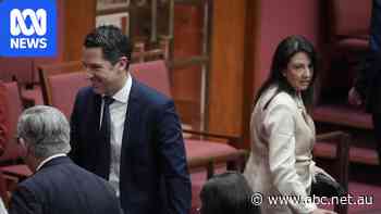 SA Liberal president Leah Blyth in preselection battle as Antic supporters claim 'betrayal'