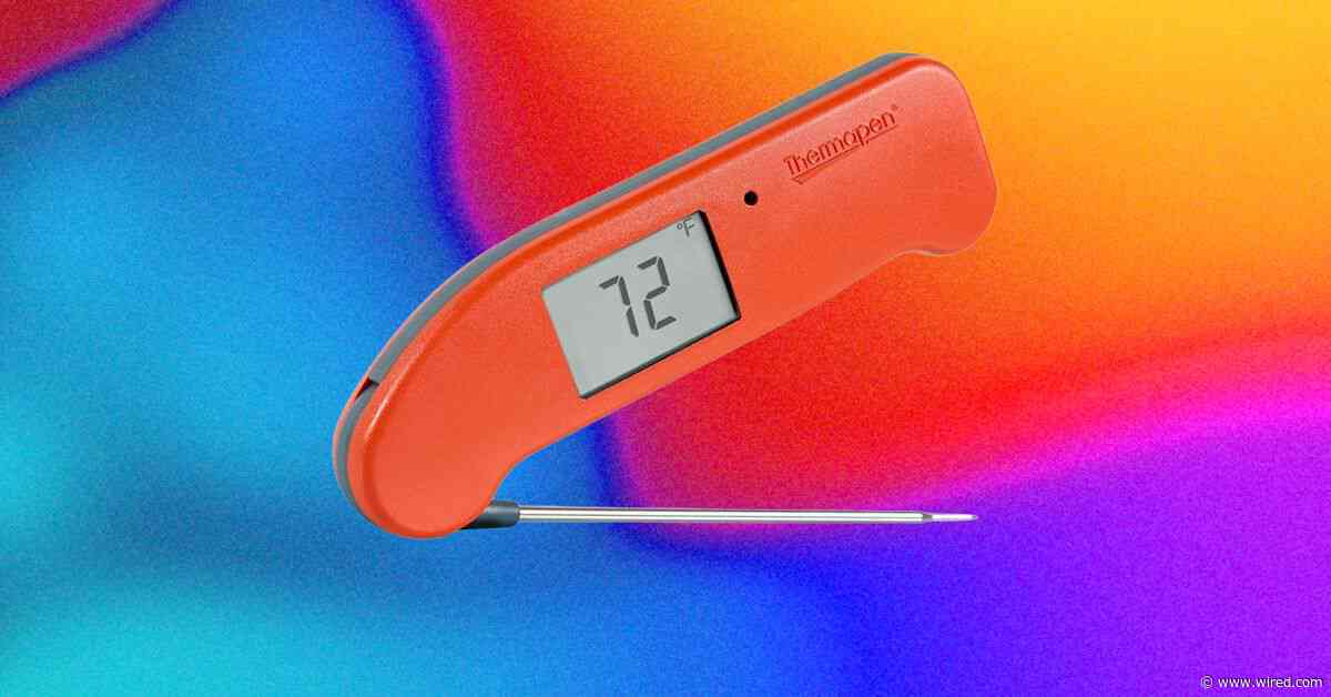 The Best Kitchen Gadget to Prevent Salmonella Is a Good Meat Probe