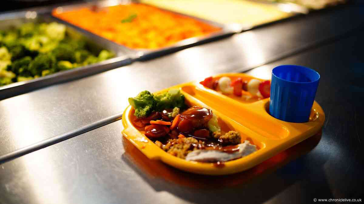 North East councils defend school meal record amid reports of national healthy food breaches