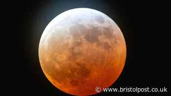 South West set for Blood Moon spectacle as lunar eclipse arrives this week